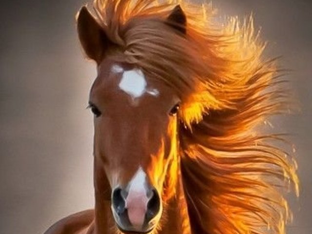 Cavalo